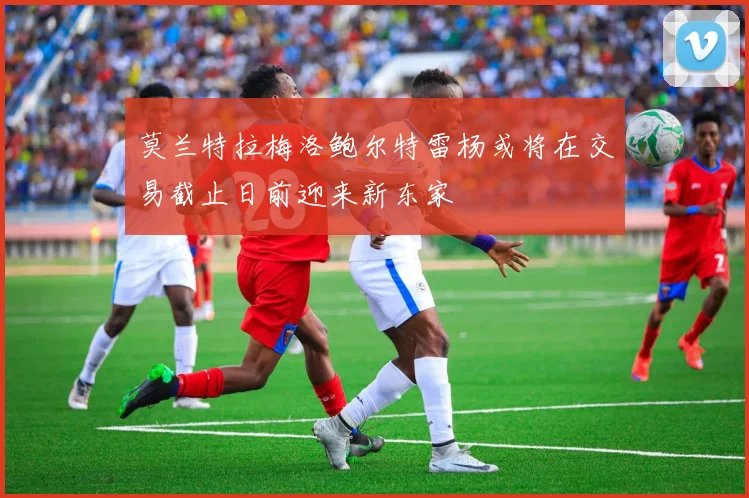 莫兰特拉梅洛鲍尔特雷杨或将在交易截止日前迎来新东家