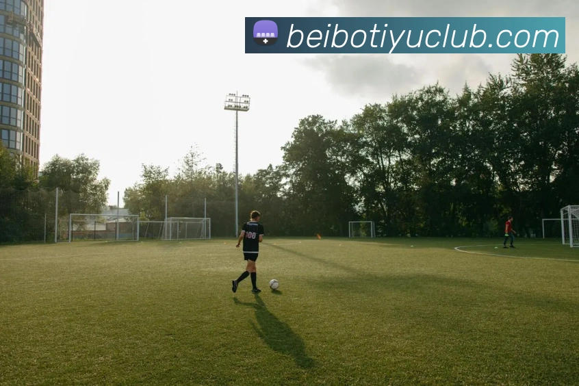 贝博体育平台生态图